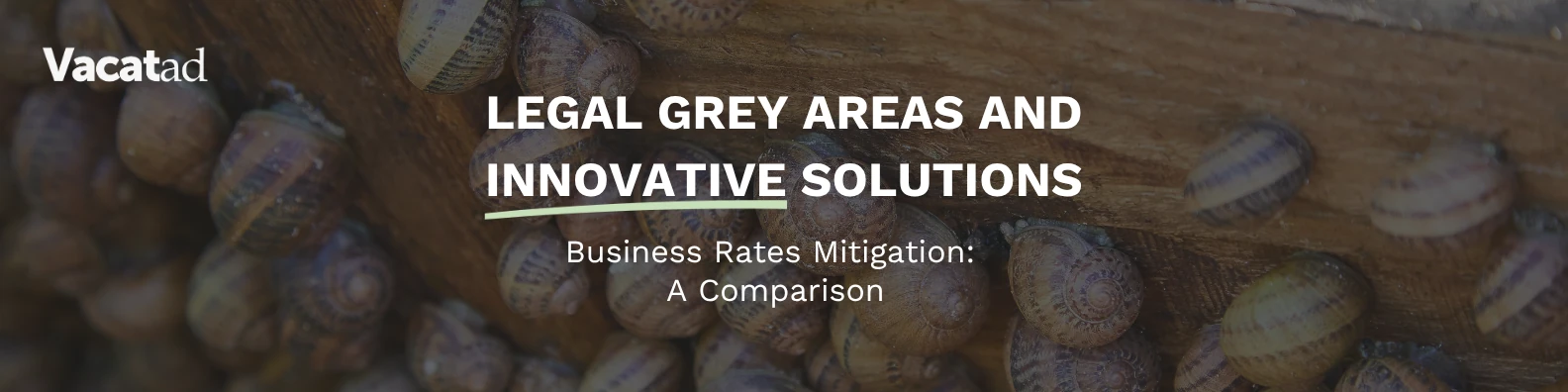 Legal Grey Areas and Innovative Solutions in Business Rates Mitigation – A Comparison